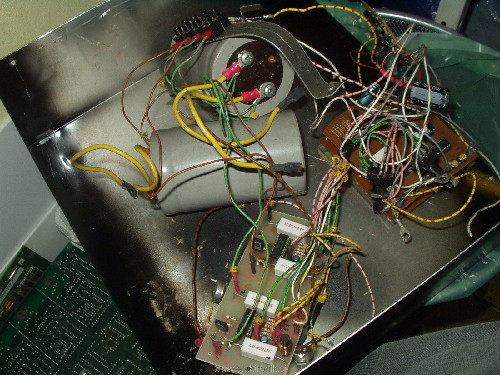 P2010294.JPG