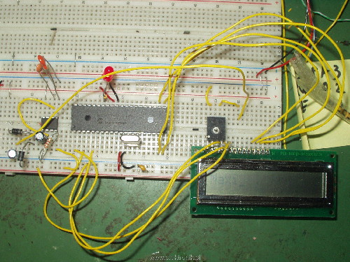 P4120111.JPG