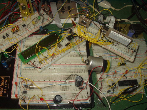 P5310001.JPG