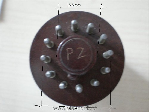 P8060299 (Medium).JPG