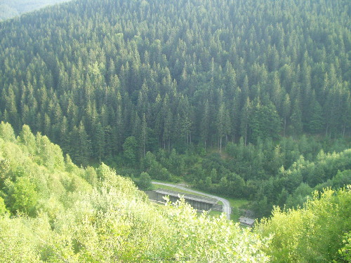 P8080083.jpg