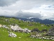 P9040063.jpg