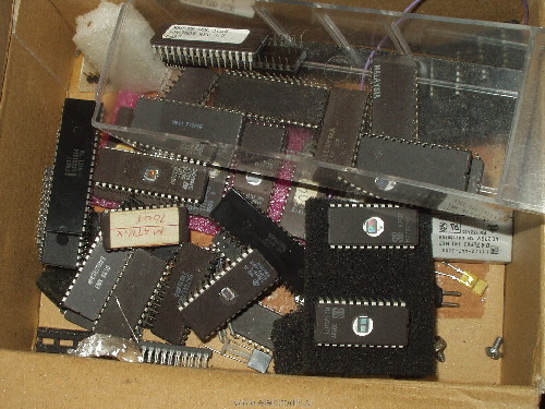 P9080134.JPG