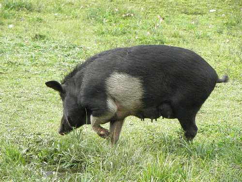 P9250206.JPG
