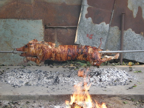 PA011695.jpg