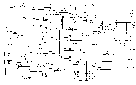 panasonic_nv-j35.gif