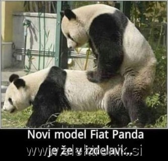 Panda.jpg