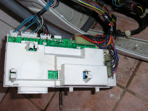 PB046742.JPG