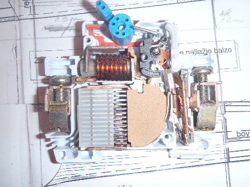 PB260052.JPG