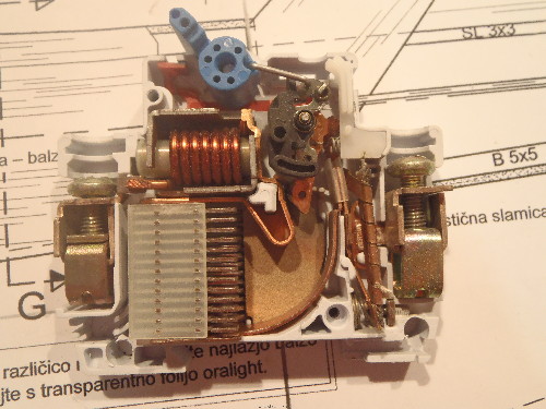 PB260058.JPG