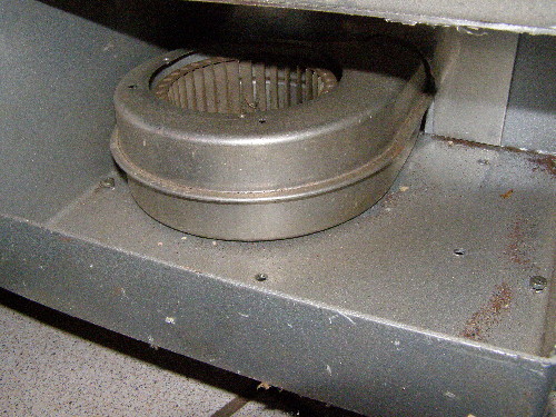 PC130143.JPG