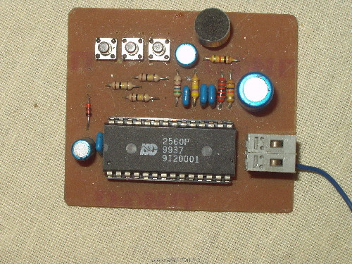 PC150069.JPG