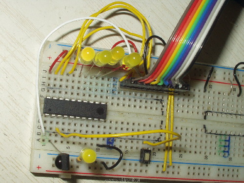 PC250073.JPG