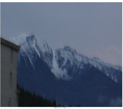 Peca.jpg
