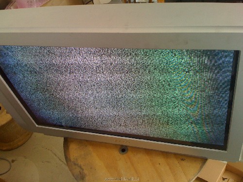 photo1.JPG