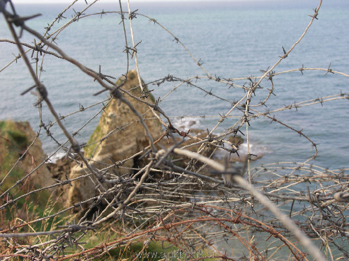 PICT0596.jpg