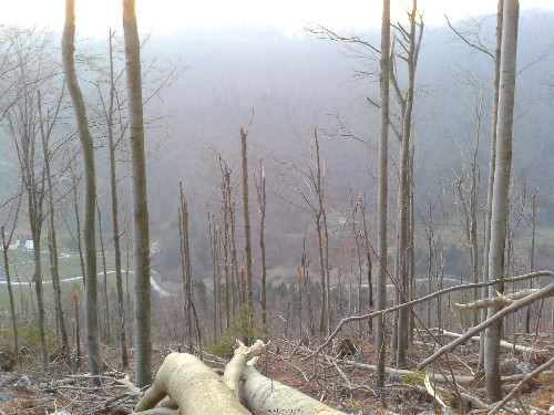 Picture 072.jpg