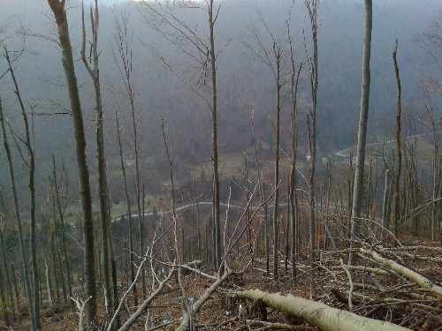 Picture 074.jpg