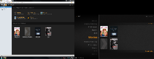 Plexserver+client.png