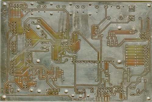 ploscica-bot (Large).jpg