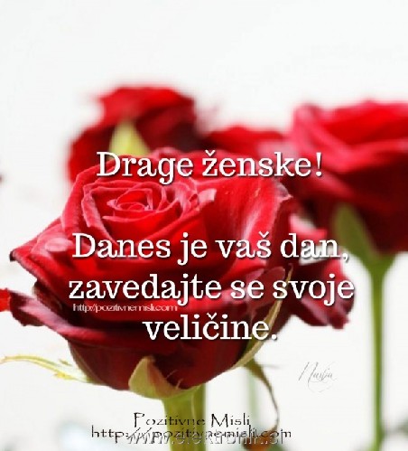 Posvetilo ženskam.jpg