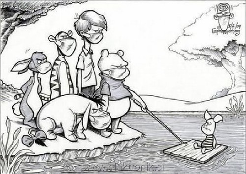 prasicja_gripa.jpg