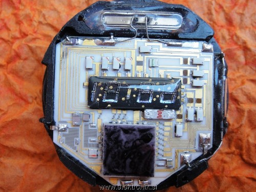 pulsar2925module1a.jpg