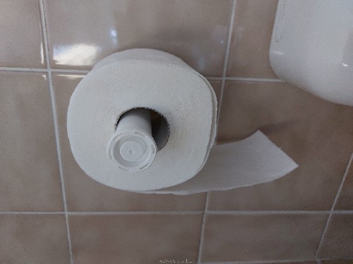Roka UMI za WC papir.jpg