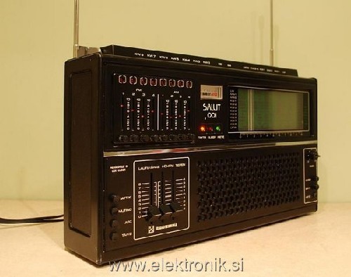 saluts02.jpg