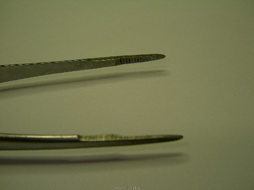 SANY0002.JPG