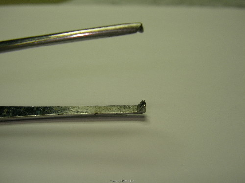 SANY0003.JPG