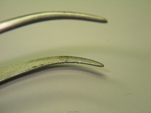 SANY0006.JPG