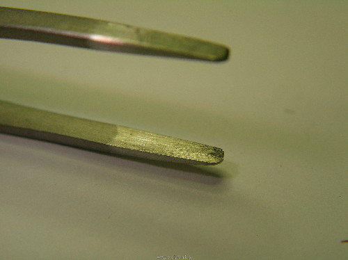 SANY0009.JPG