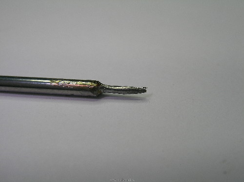SANY0010.JPG