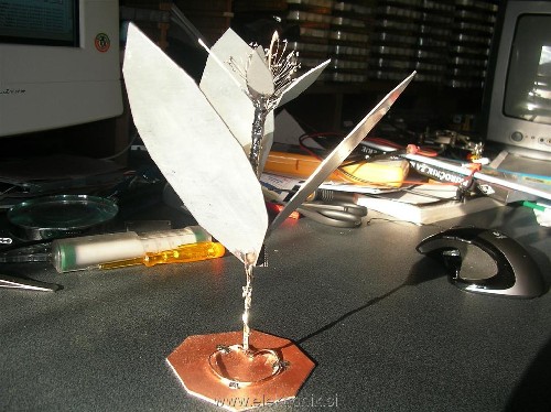 SANY0010 (Large).JPG