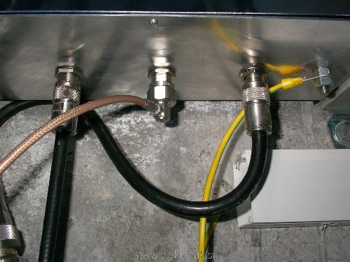 SANY0012 (Medium).JPG