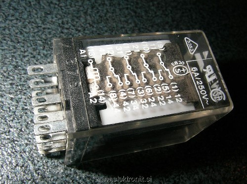 SANY1029 (Medium).JPG