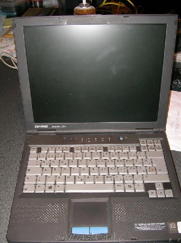 SANY2281 (Medium).JPG