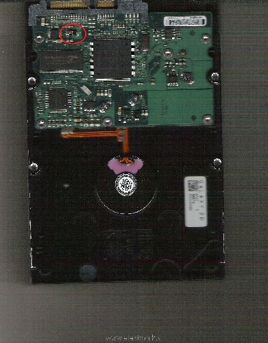 Scan0001.jpg