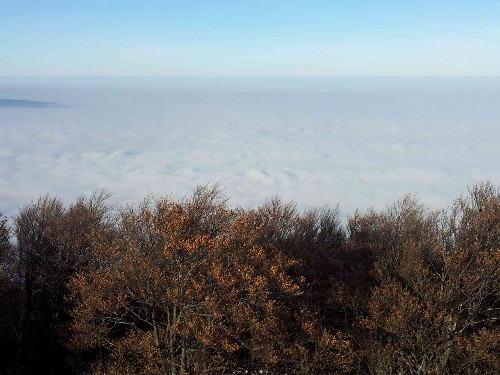 slika_005.jpg