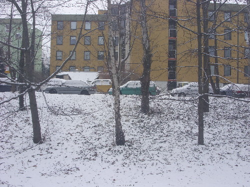 SN850256.JPG