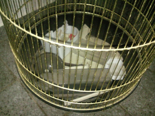 SNC00517.jpg