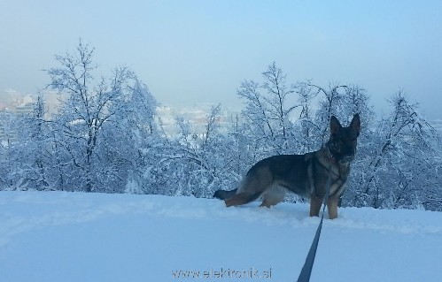 Sneg_201701142.jpg
