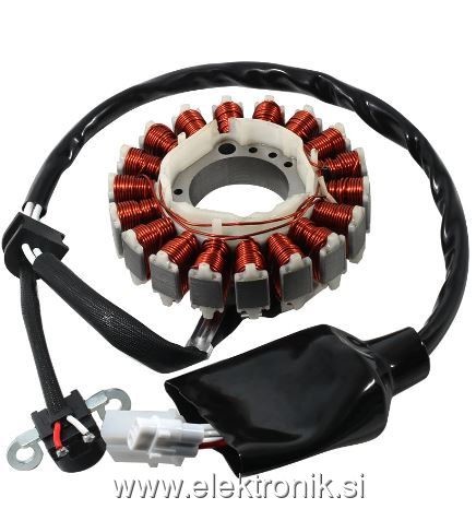 Stator coil.JPG