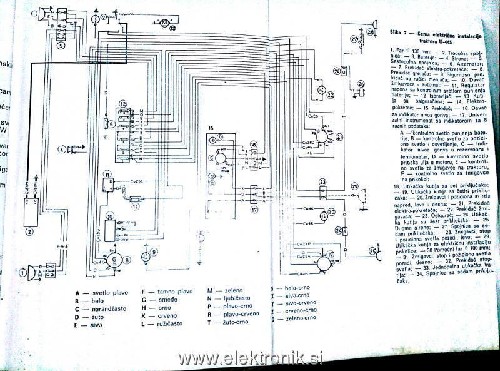 U445.jpg