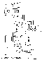 usmernik_elektor_1del.gif