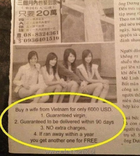 viet.jpg