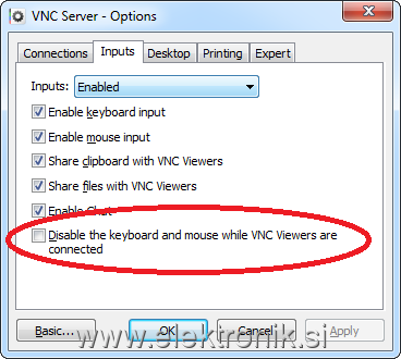 VNC_Server_Properties_Dialog_Inputs.png