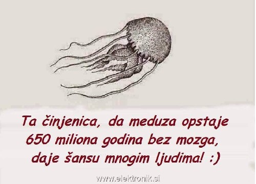 Vrilci Dolnosti.jpg