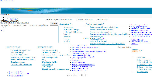 web.jpg
